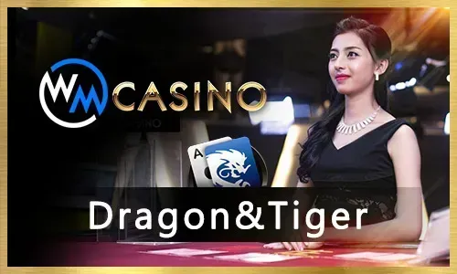 Top 5 nino gaming Slots of 2024